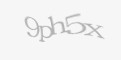 Қорғаныс коды